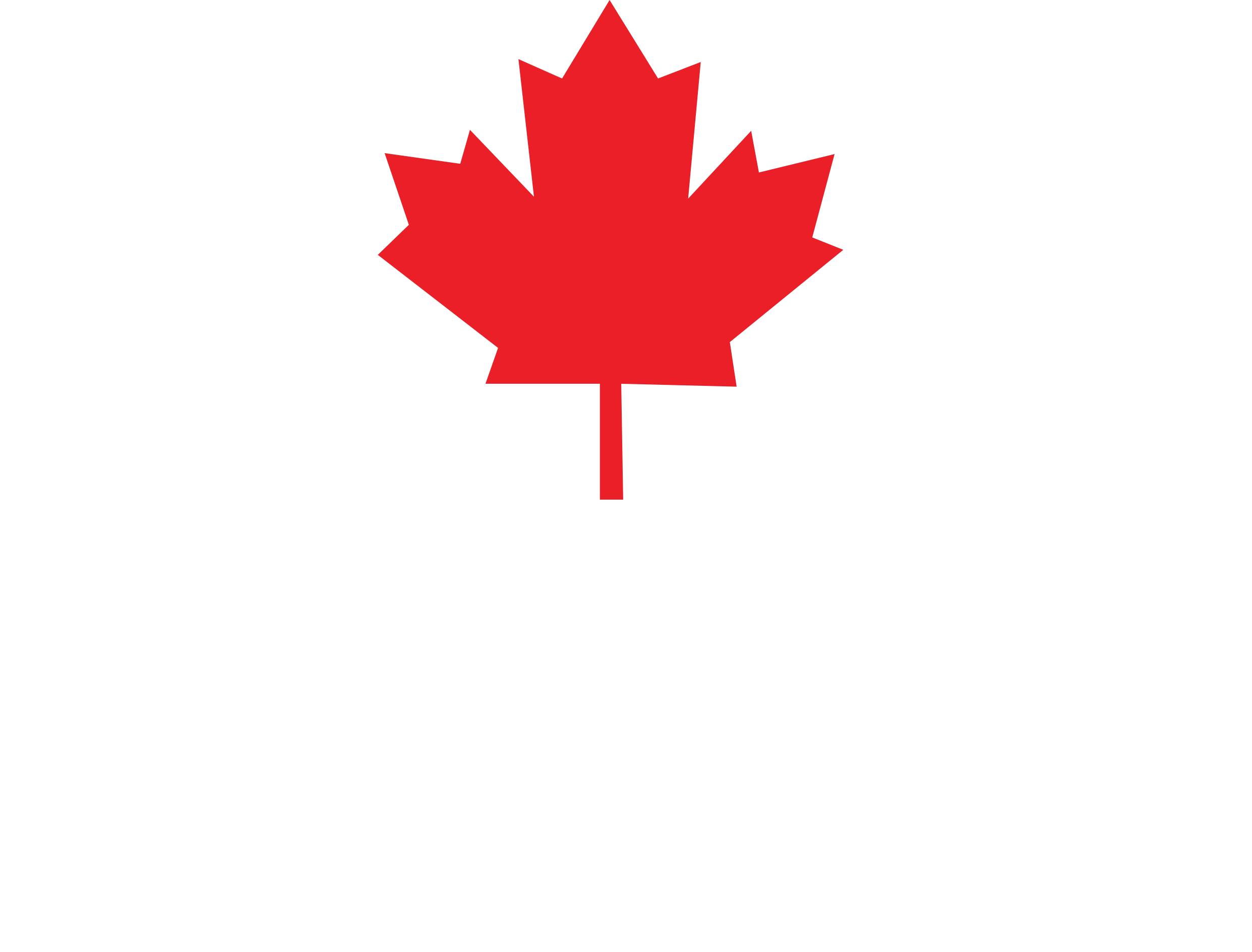 Logotipo de Total English Institute